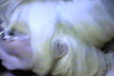 Preview for Sucking You Dry