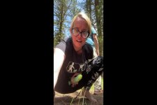 Public Pegging